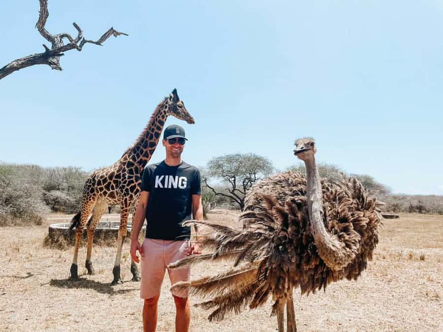 Mombasa: Guided Nature Walk Amongst Giraffes - What the 30-minute walk is really like