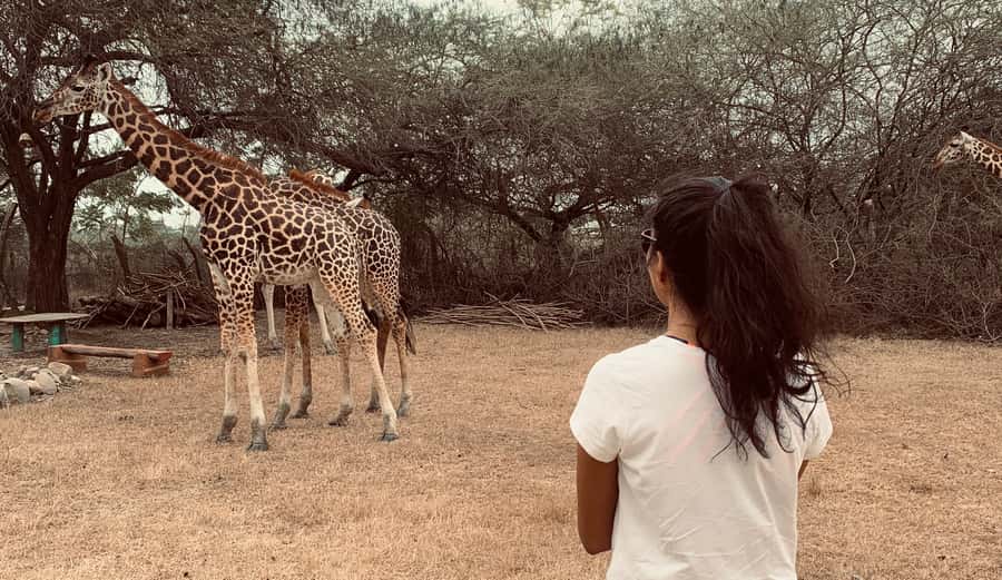 Mombasa: Guided Nature Walk Amongst Giraffes - Is $38 good value?
