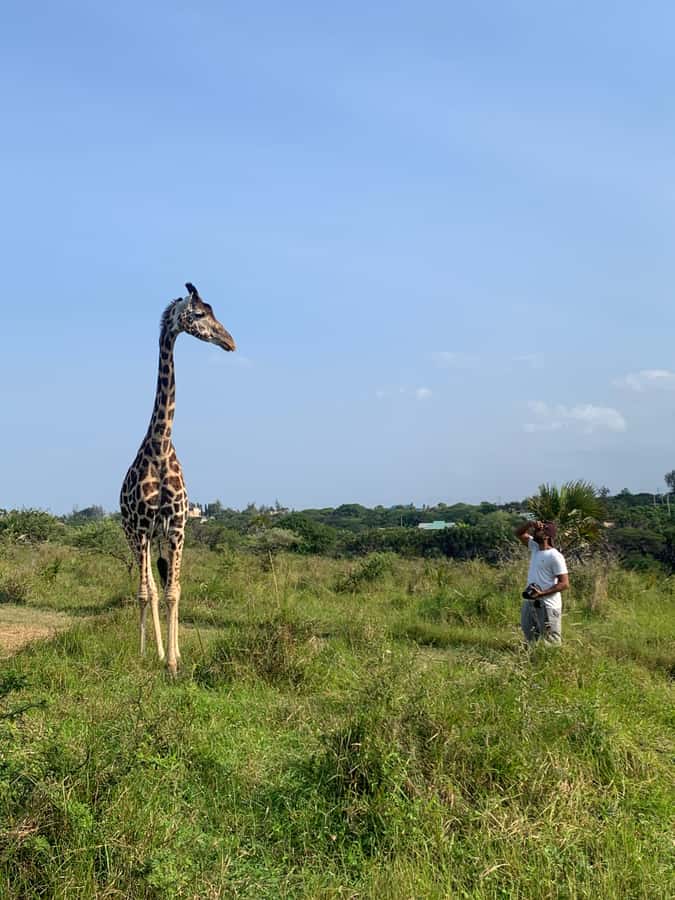 Mombasa: Guided Nature Walk Amongst Giraffes - The guide and the safety briefing