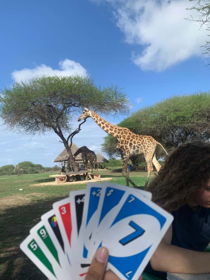 Mombasa: Guided Nature Walk Amongst Giraffes - What to wear and what to pack