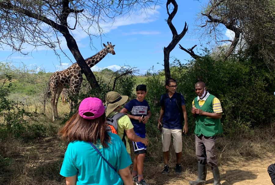 Mombasa: Guided Nature Walk Amongst Giraffes - Who will enjoy this animal encounter most?