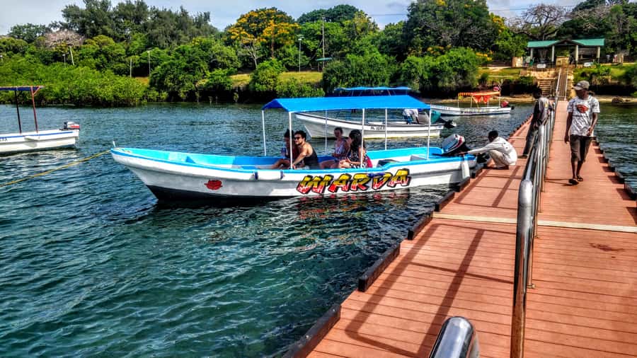 Mombasa: Kisite Park Private Cruise with Breakfast and Lunch - Key points to know before booking