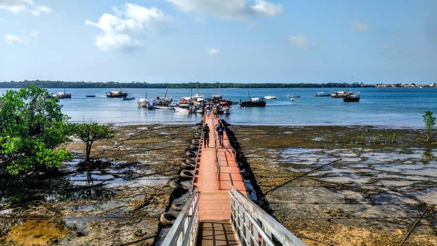 Mombasa: Kisite Park Private Cruise with Breakfast and Lunch - Kisite Marine Park: the main event