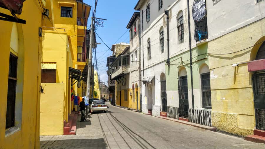 Mombasa: Private City Tour with Fort Jesus & Haller Park - From the Elephant Tusks to Mombasa’s Indian Ocean story