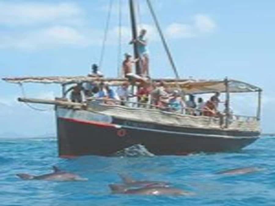 Mombasa: Snorkeling, Dolphin watching, seafood lunch. - Key points to know before you book
