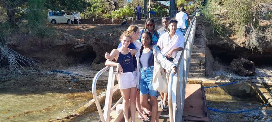 Mombasa: Snorkeling, Dolphin watching, seafood lunch. - Looking for dolphins in open water