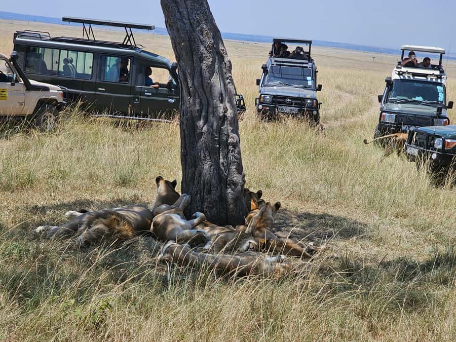 Mombasa: Tsavo East National Park Day Trip with Lunch - The Yatta Plateau and Tsavo’s volcanic story