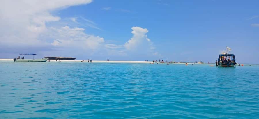 Mombasa: Wasini Dolphin Tour - Snorkeling at Kisite-Mpunguti Marine Park