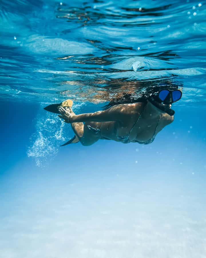 Mombasa: Wasini Dolphin Tour - Wasini Island lunch and village walk