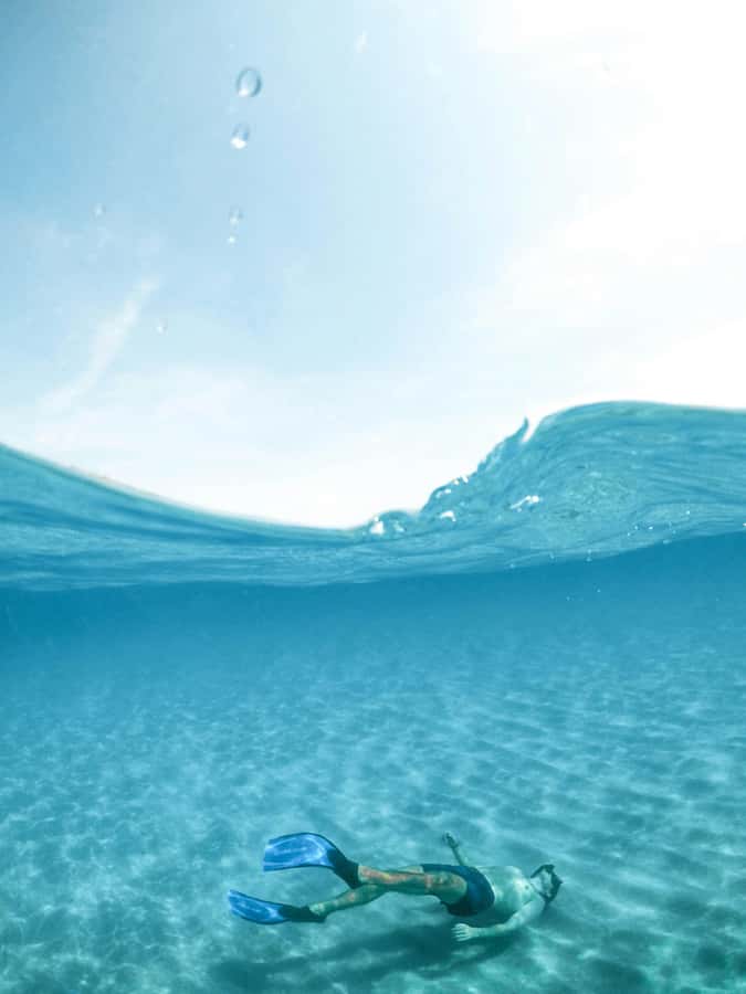 Mombasa: Wasini Dolphin Tour - Who will enjoy this tour most