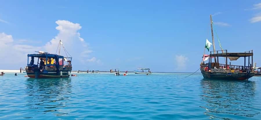 Mombasa: Wasini Dolphin Tour - Watching dolphins in the open sea