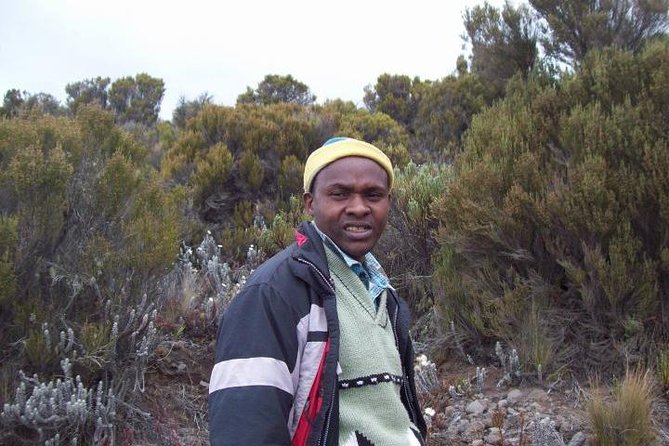 Mount Kenya Trek - Day 2: Moorland and the long approach to Shipton Camp