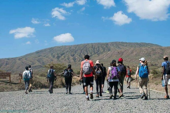 Mount Longonot Full-Day Hiking and Trekking Trip from Nairobi - Lake Naivasha: a worthwhile $20 add-on