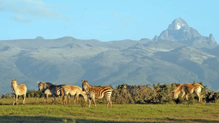 Mt Kenya: Full-day hiking tour from Nairobi - Key points to know before booking