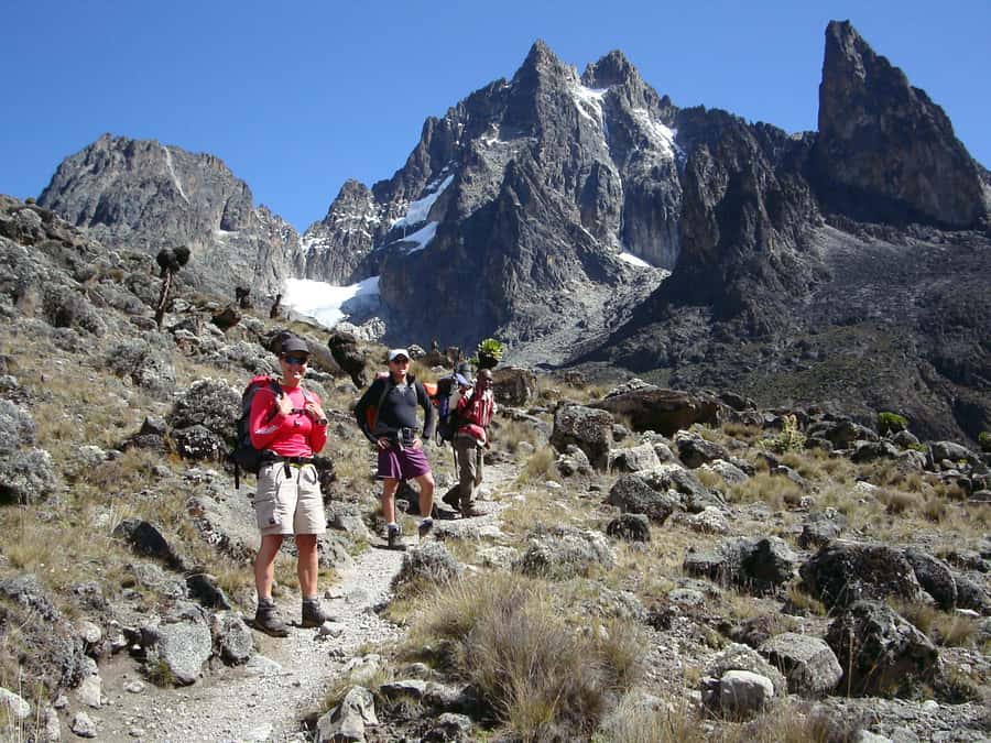 Mt Kenya: Full-day hiking tour from Nairobi - Bamboo groves, open ground, and changing scenery