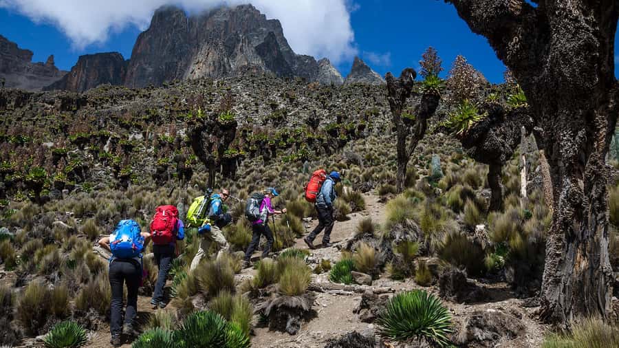 Mt Kenya: Full-day hiking tour from Nairobi - Lunch at Old Mosses Camp, with an important catch