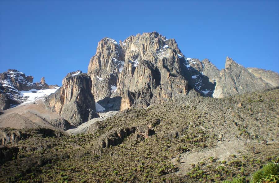 Mt Kenya: Full-day hiking tour from Nairobi - The descent through bamboo and back to Nairobi