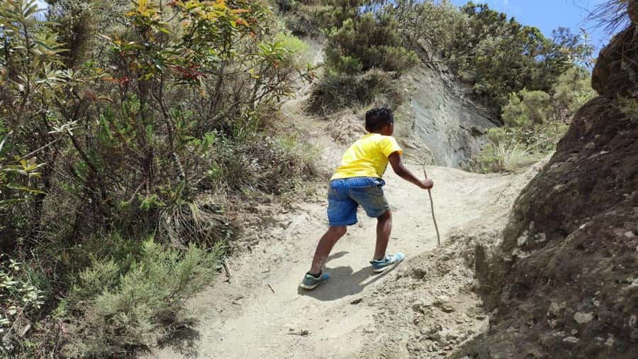 Mt Longonot National park Day Hike - The 4.1-kilometer climb to the crater rim