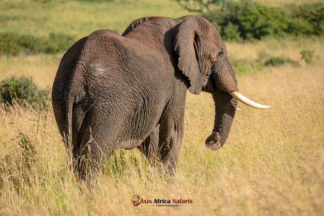Multi Day Masai Mara Lake Nakuru Park Hellsgate Park Tour - What the $850 price includes