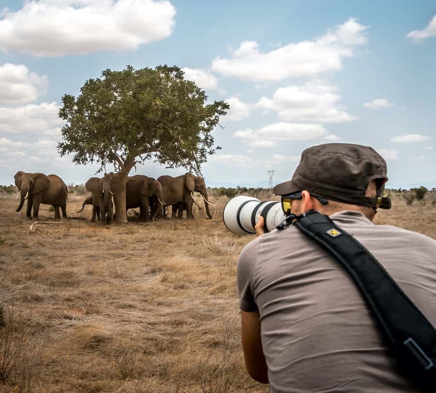 Nairobi: 3-Day Maasai Mara Group Tour with 4X4 Jeep Safari - Is the $295 price good value?