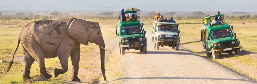 Nairobi: 3-Day Maasai Mara Group Tour with 4X4 Jeep Safari - Who will get the most from this safari?