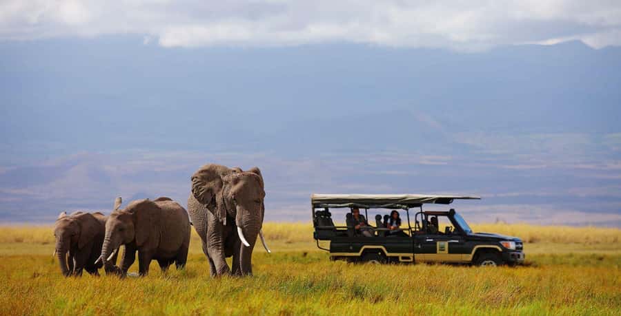 Nairobi: 4-Day Maasai Mara & Lake Nakuru Camping Safari - From Nairobi to the Great Rift Valley viewpoint