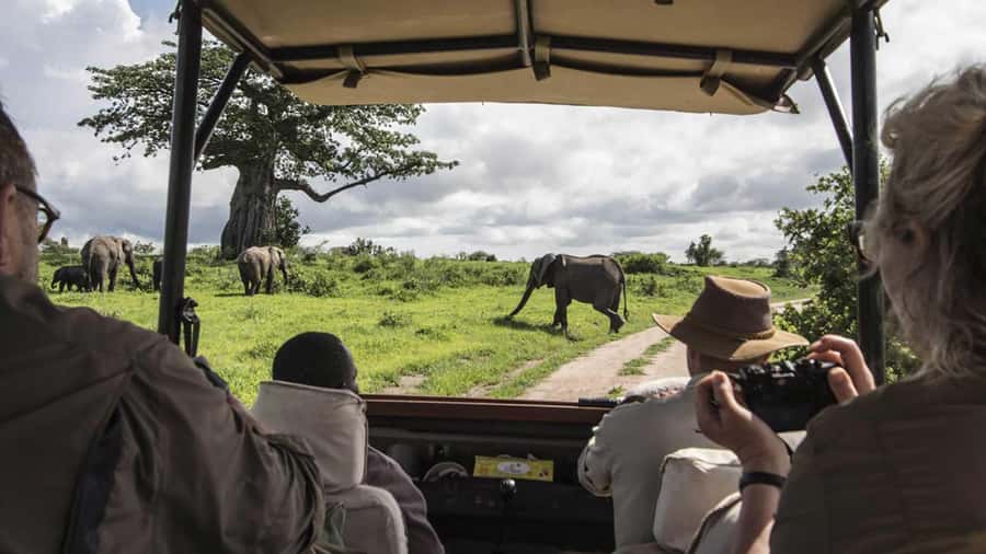 Nairobi: 4-Day Maasai Mara & Lake Nakuru Camping Safari - What the $475 price really buys