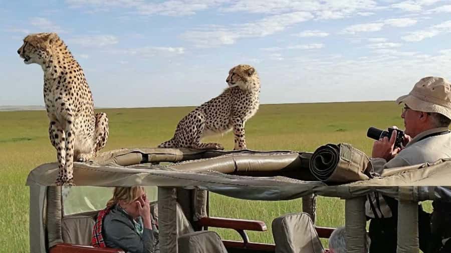 Nairobi: 4-Day Maasai Mara & Lake Nakuru Camping Safari - Transport, group size, and daily comfort