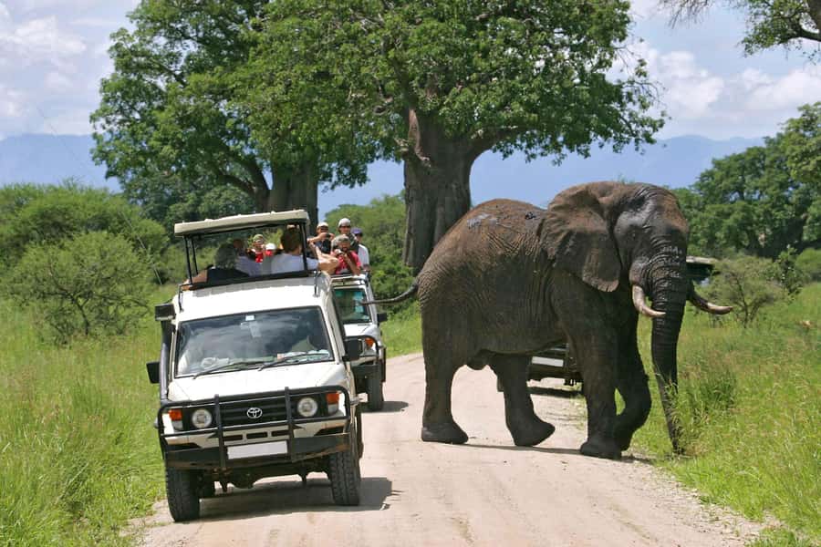 Nairobi: 4-Day Maasai Mara & Lake Nakuru Camping Safari - Two nights among the Maasai Mara plains