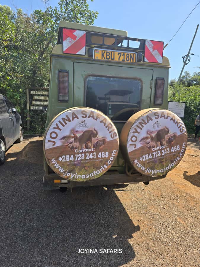 Nairobi: 4 Days Masai Mara & Lake Nakuru 4WD Camping Safari - Key points to know before booking