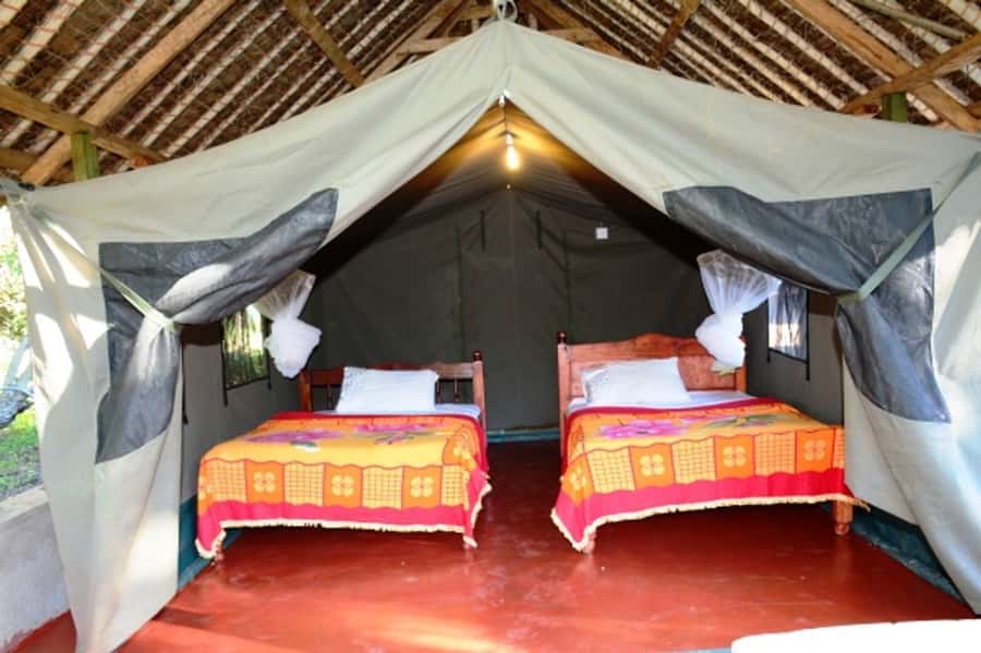 Nairobi: 5 Days Maasai Mara, Nakuru & Naivasha Tour - Day 4: White rhinos at Lake Nakuru and hippos on Lake Naivasha