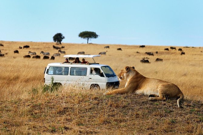 Nairobi Airport Layover Half Day Tour Nairobi National Park - Who will get the most from this outing?