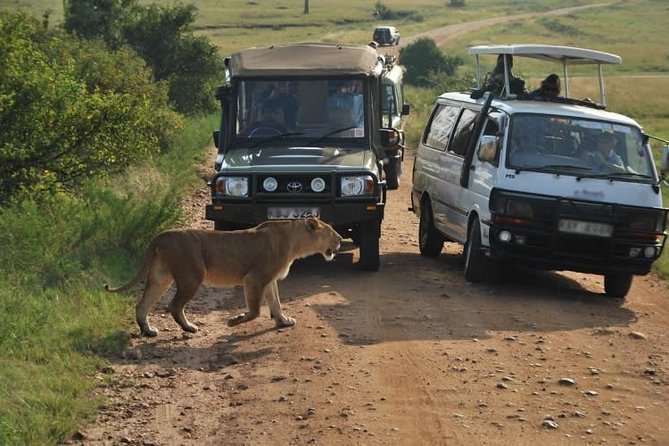 Nairobi Airport Layover Half Day Tour to Nairobi National Park - The airport pickup and the six-hour clock