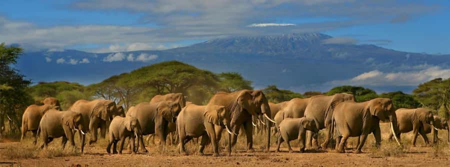 Nairobi: Amboseli National Park Day Trip with Masai Village - Observation Hill and the marshes below