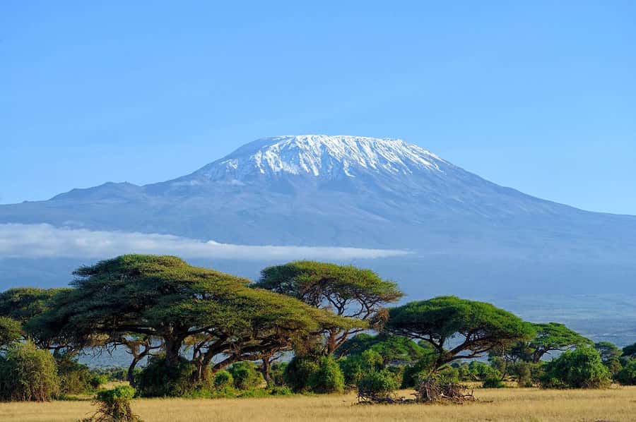 Nairobi: Amboseli National Park Day Trip with Masai Village - Lunch at Oltukai Lodge or a picnic at the hill