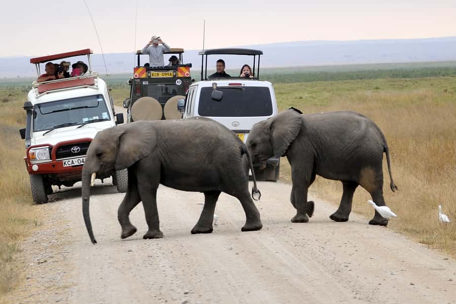 Nairobi: Amboseli National Park Day Trip with Masai Village - The Maasai village visit, useful but not essential