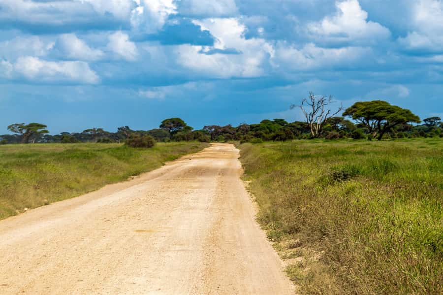 Nairobi: Amboseli National Park Tour & Maasai Village Visit - Key points at a glance