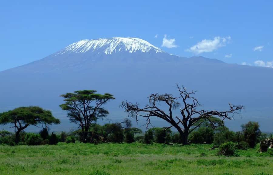 Nairobi: Amboseli National Park Tour & Maasai Village Visit - The first wildlife drive through Amboseli