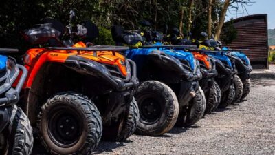 ATV/Quad Bike Wildlife Safari with Transfers & meal