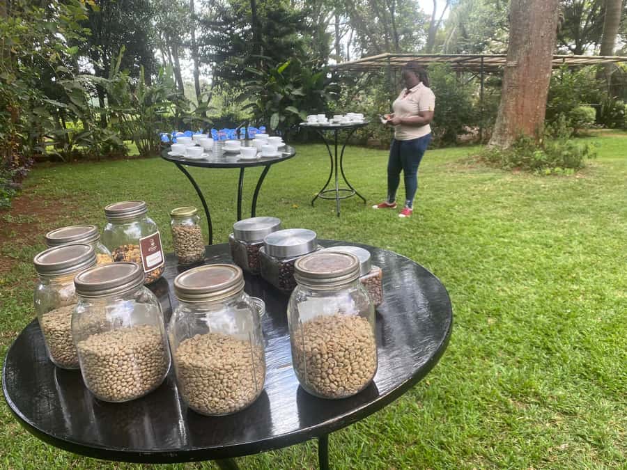 Nairobi: Coffee Factory and Farm Tour with Transfer - Key points to know