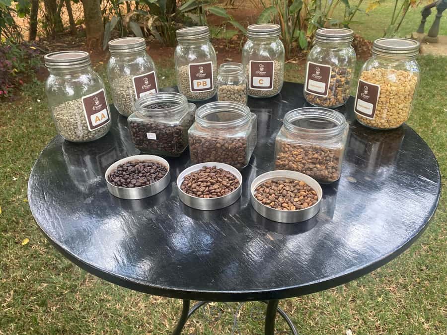 Nairobi: Coffee Factory and Farm Tour with Transfer - Walking through a century-old coffee estate