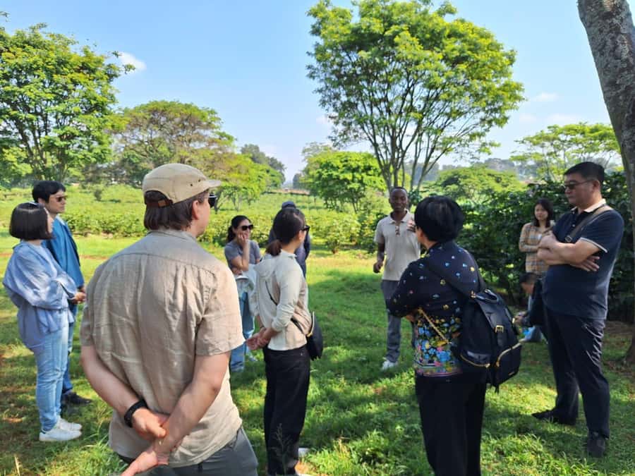 Nairobi: Coffee farm tour with pick up - Reaching Fairview Estate from Nairobi
