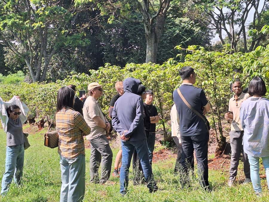 Nairobi: Coffee farm tour with pick up - Sitting on the patio above the estate