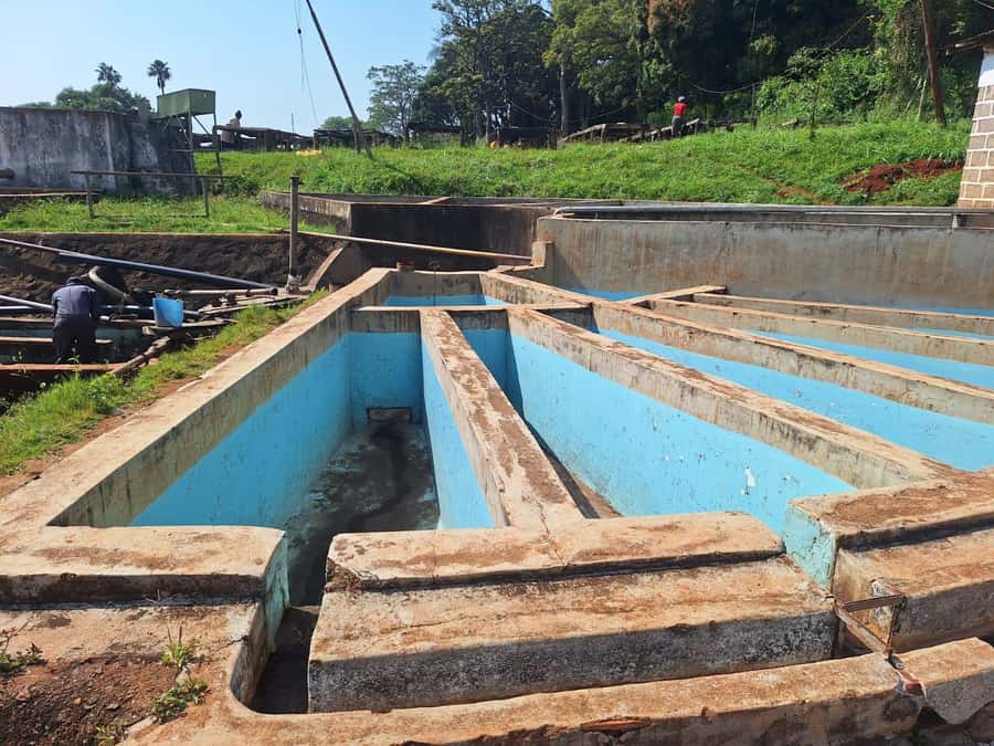 Nairobi: Coffee farm tour with pick up - Browsing coffee and Kenyan-made gifts