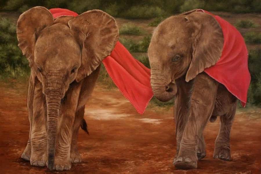 Nairobi: David Sheldrick Elephant Orphanage Visit - Key points to know before booking