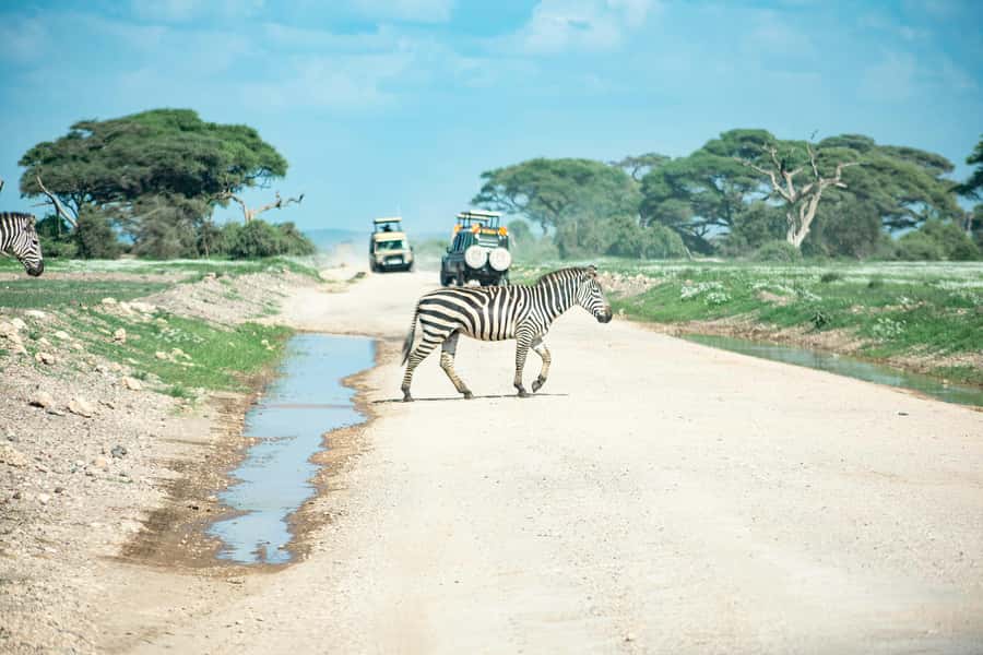Nairobi: Day Tour to Amboseli National Park & Maasai Village - The Maasai village visit adds a second point of view