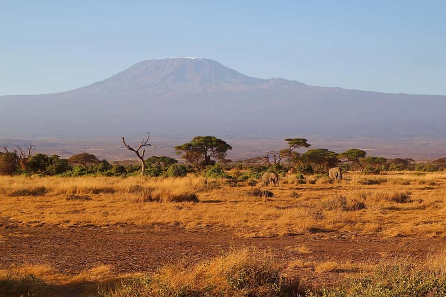 Nairobi: Day Tour to Amboseli National Park & Maasai Village - What the $75 price really buys you