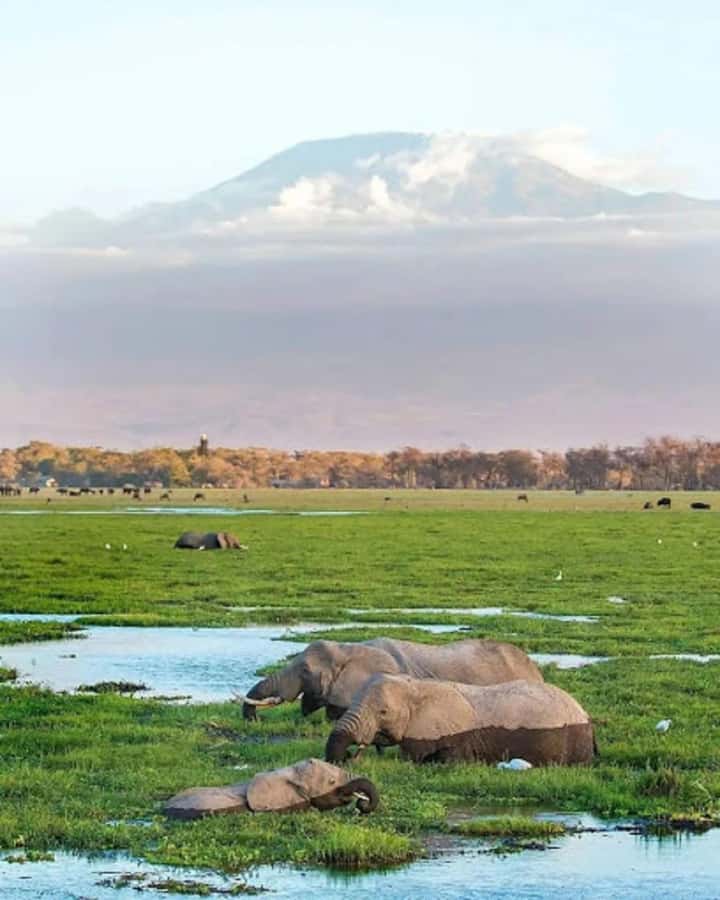 Nairobi: Day Trip to Amboseli National Park - Observation Hill and the Kilimanjaro view