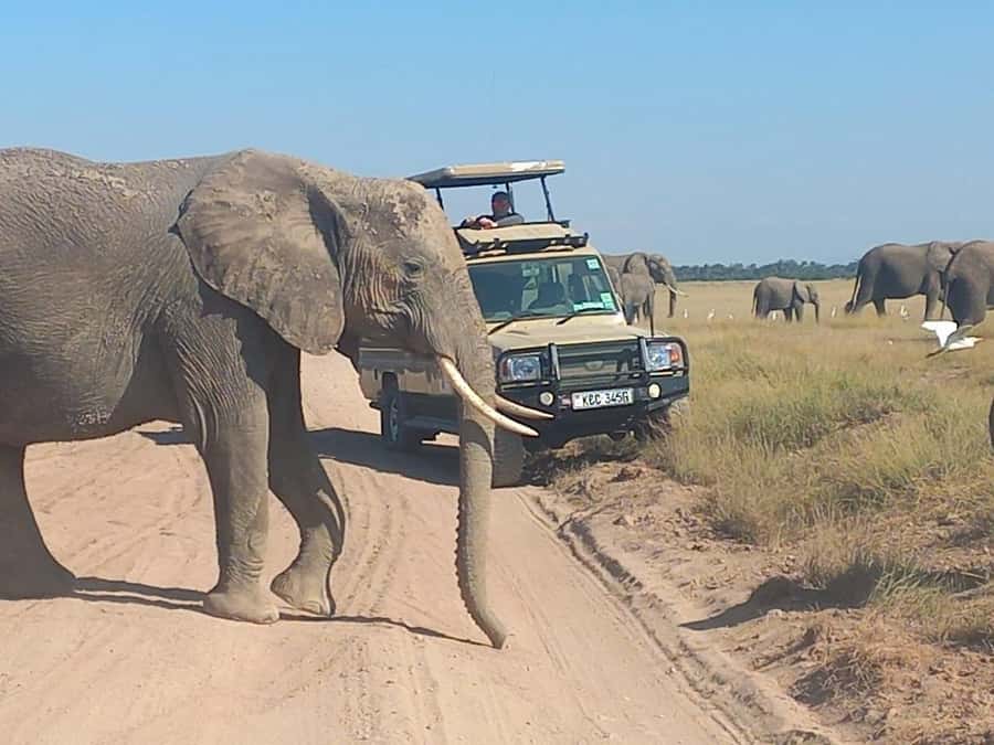 Nairobi:Day trip to Amboseli National park & Maasai village - Leaving Nairobi for Amboseli