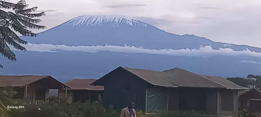 Nairobi:Day trip to Amboseli National park & Maasai village - Why the guide matters on a one-day safari